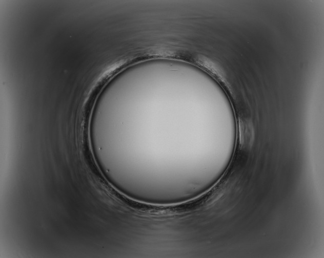 X0000086910675200705071304