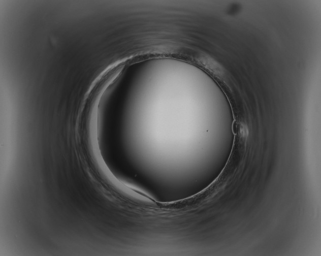 X0000086910676200705071304