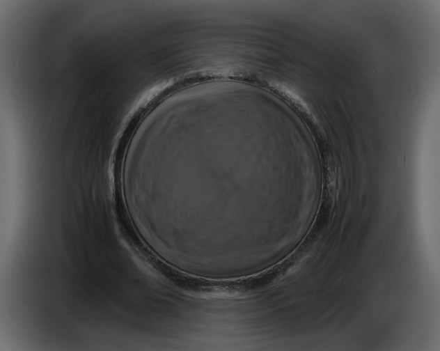 X0000086910678200705071304