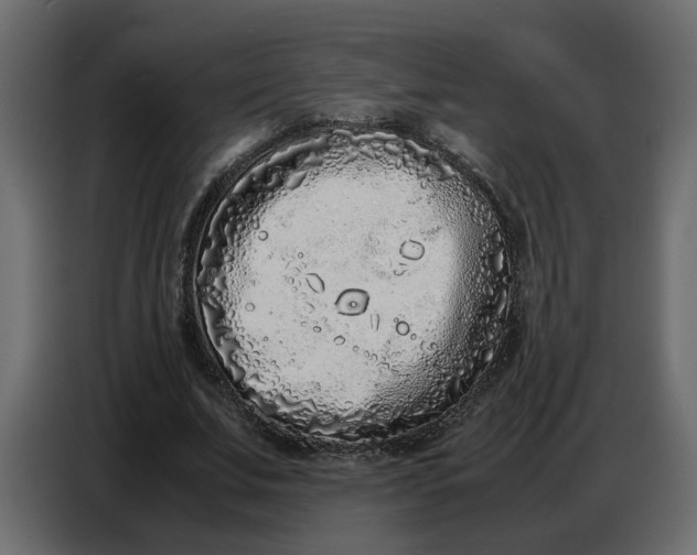 X0000086910679200705071304