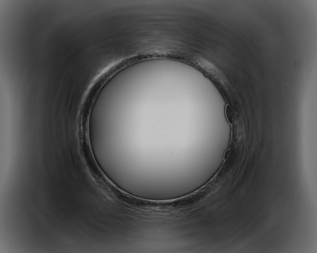 X0000086910680200705071304