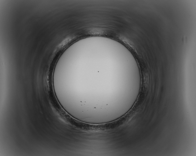 X0000086910682200705071304