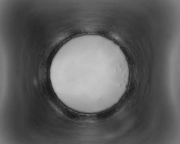 X0000086910683200705071304