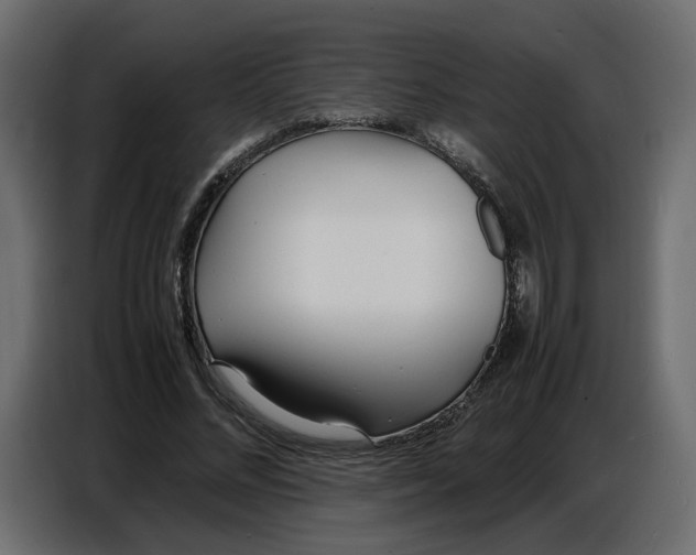 X0000086910684200705071304