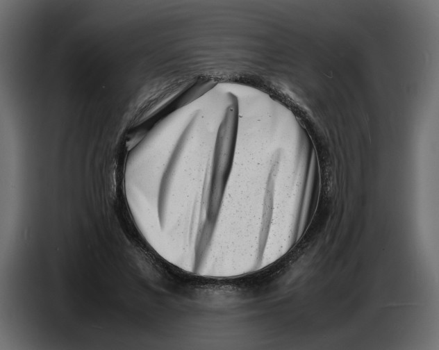 X0000086910685200705071304