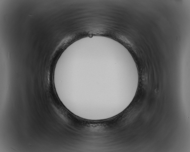 X0000086910686200705071304