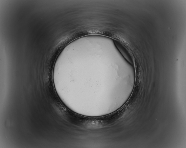 X0000086910687200705071304