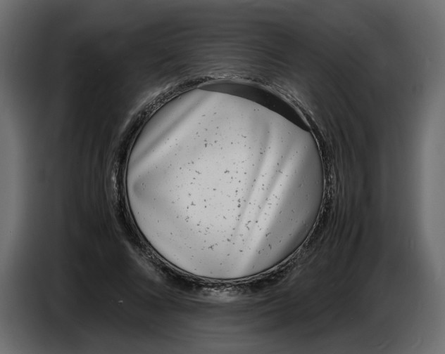 X0000086910688200705071304