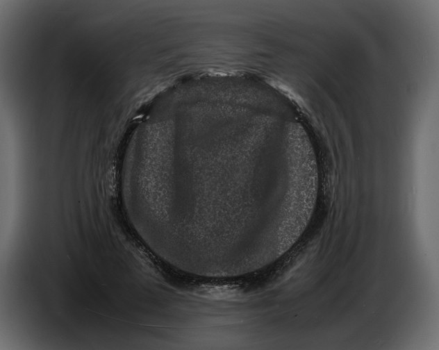 X0000086910689200705071304