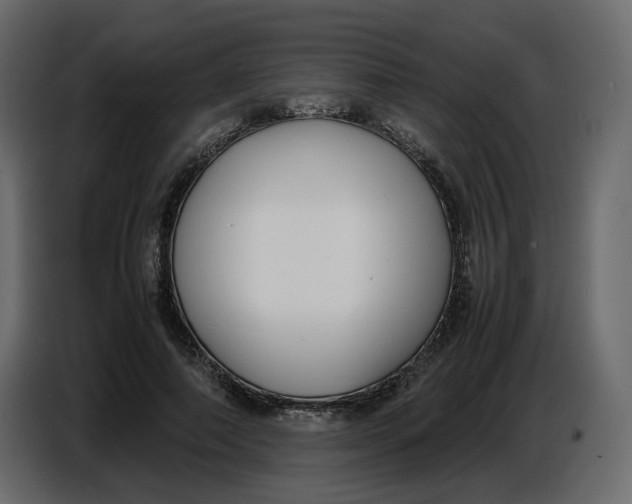 X0000086910690200705071304