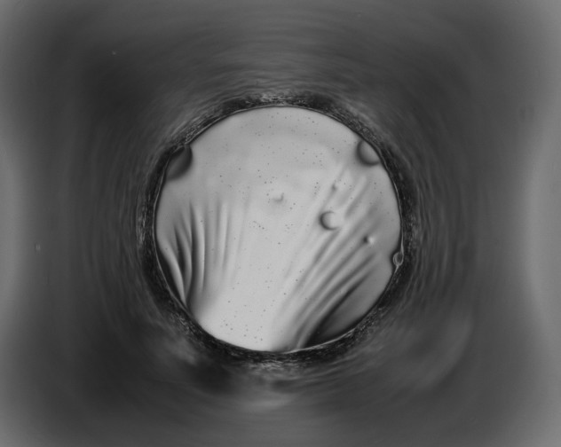 X0000086910691200705071304