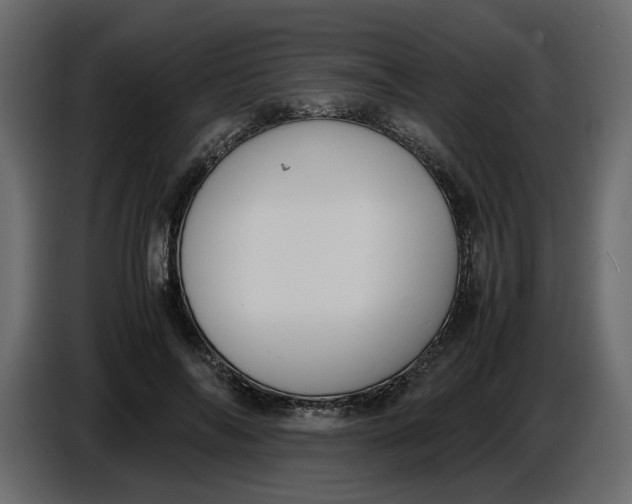 X0000086910694200705071304