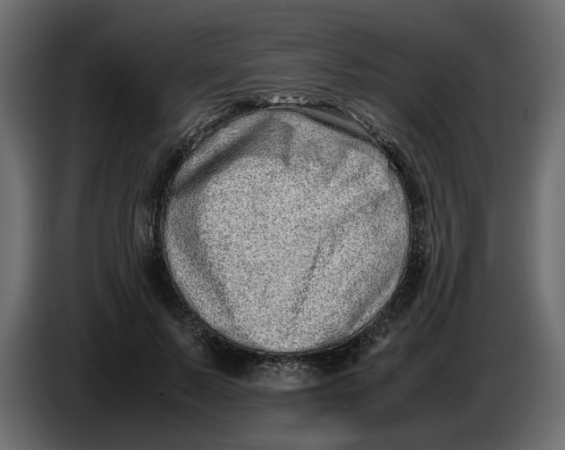 X0000086910695200705071304