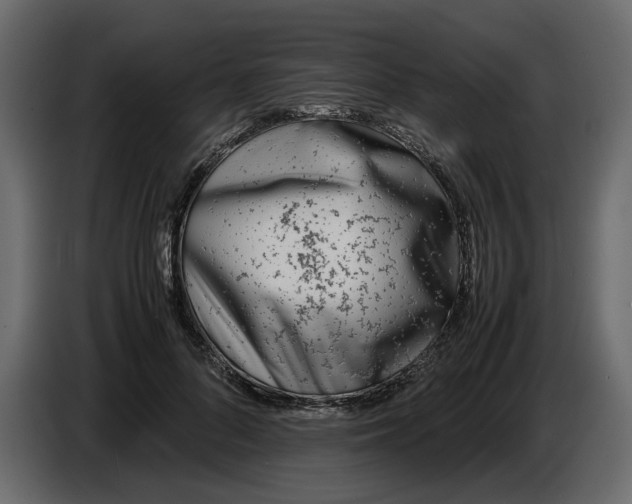 X0000086910696200705071304