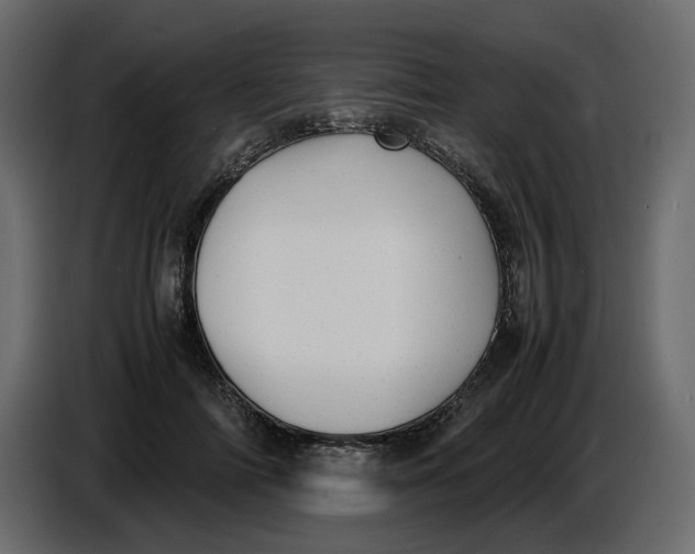 X0000086910698200705071304