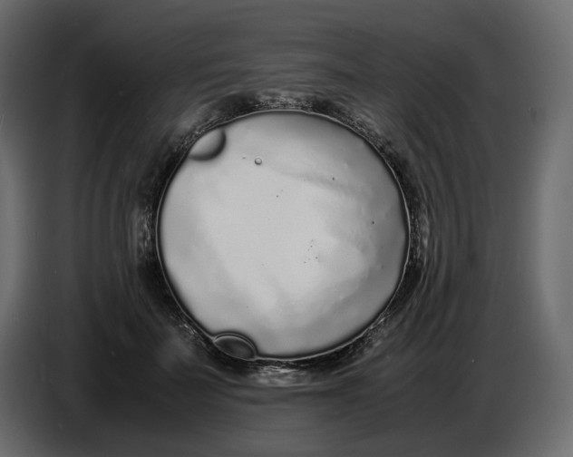 X0000086910699200705071304