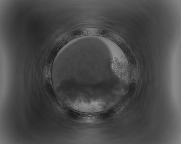 X0000086910701200705071304