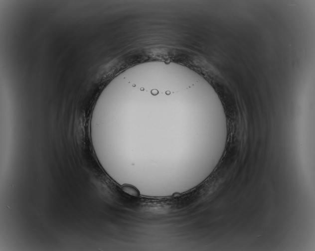 X0000086910702200705071304