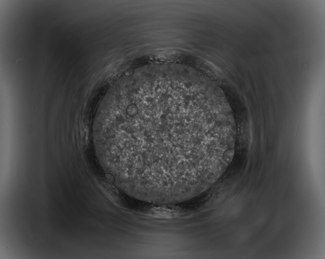 X0000086910703200705071304