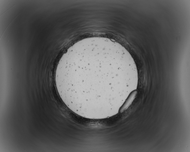 X0000086910704200705071304