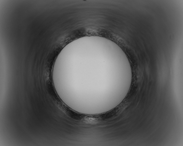 X0000086910706200705071304