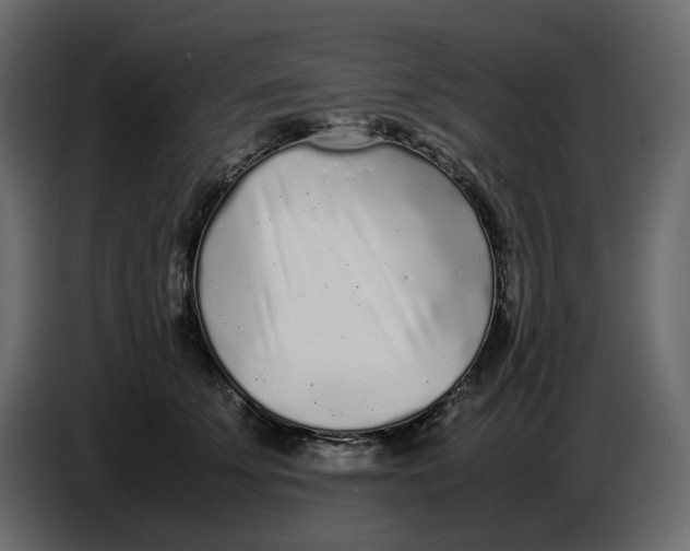 X0000086910707200705071304