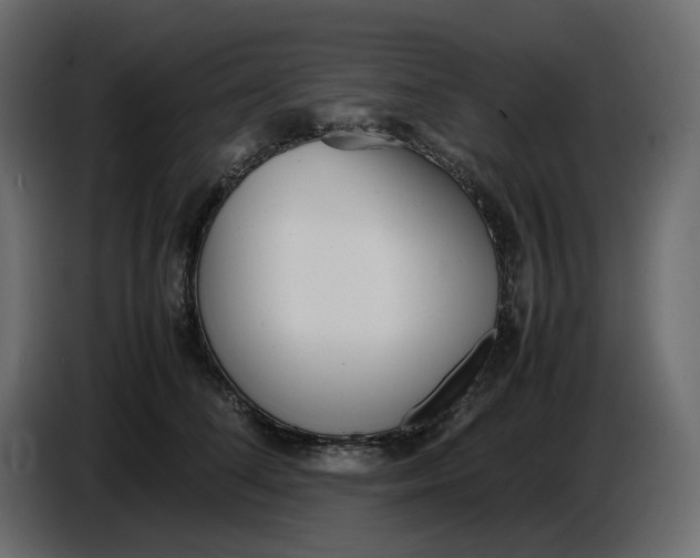 X0000086910708200705071304