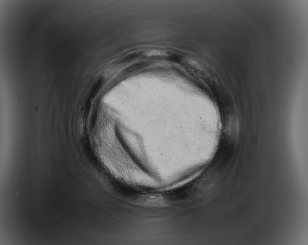 X0000086910715200705071304