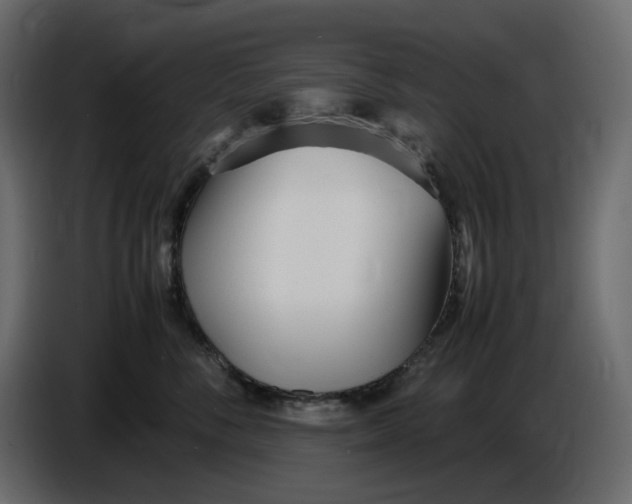 X0000086910716200705071304