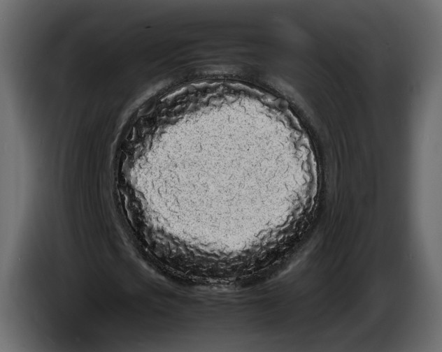 X0000086910721200705071303