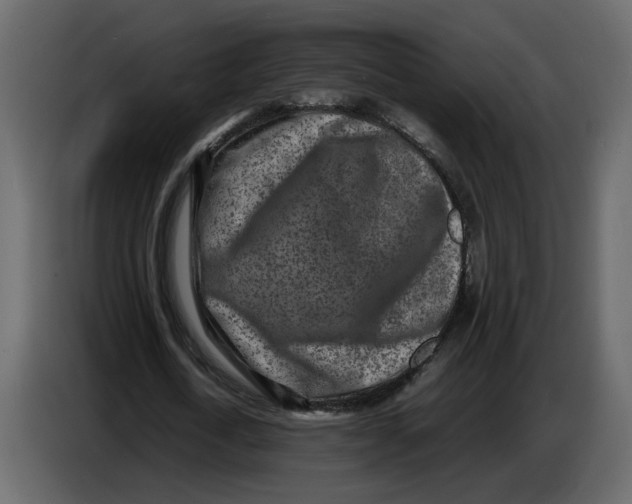 X0000086910722200705071303