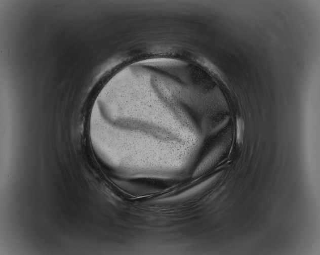 X0000086910723200705071303