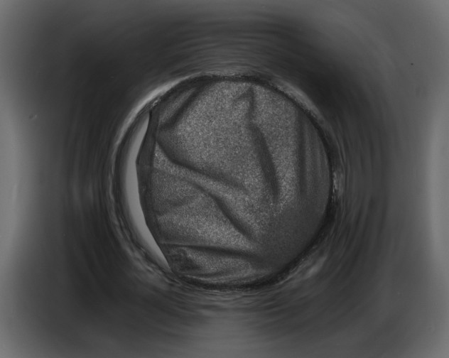 X0000086910724200705071303