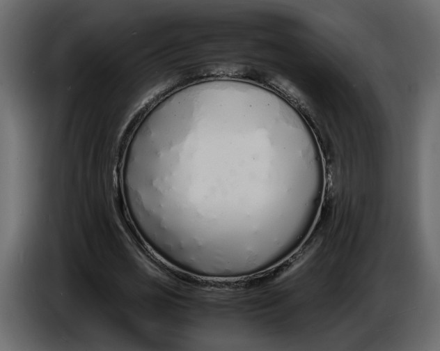 X0000086910725200705071303