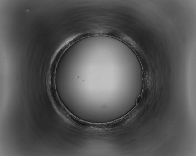 X0000086910726200705071303