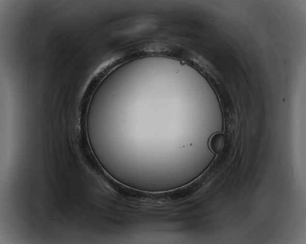 X0000086910727200705071303