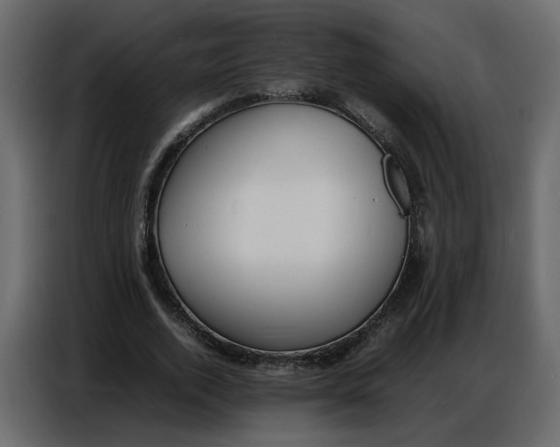 X0000086910728200705071303