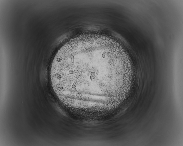 X0000086910729200705071303