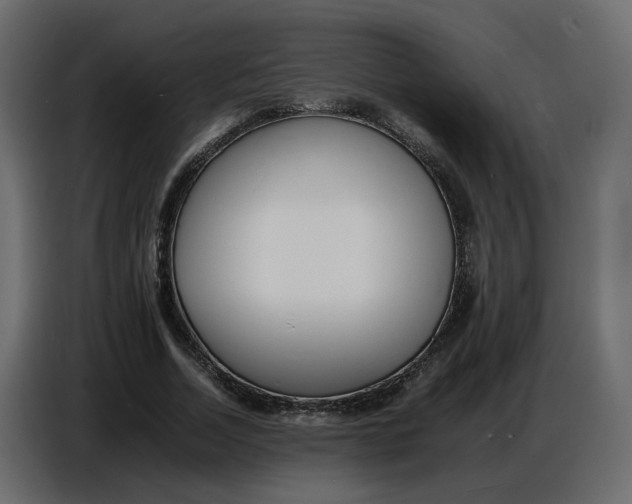 X0000086910730200705071303