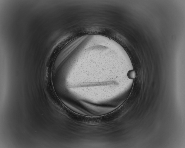 X0000086910731200705071303