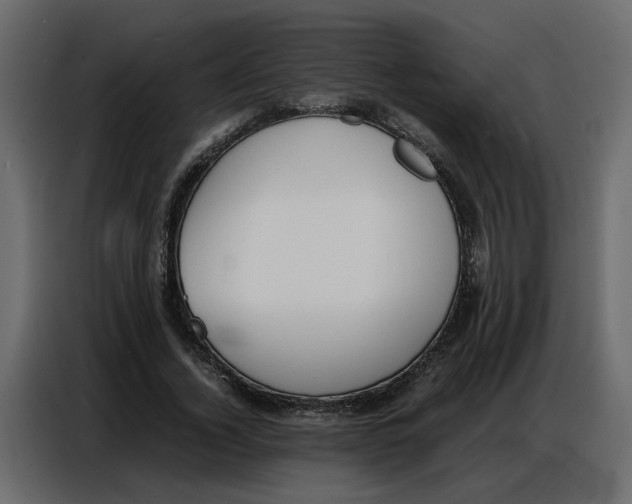 X0000086910732200705071303