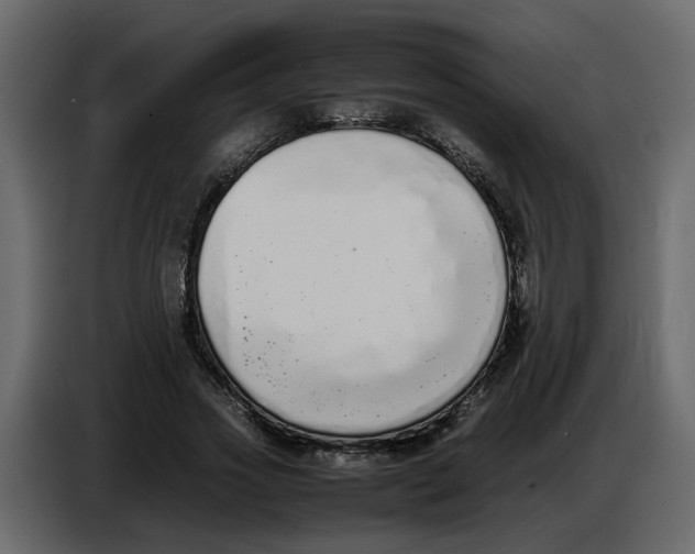 X0000086910733200705071303