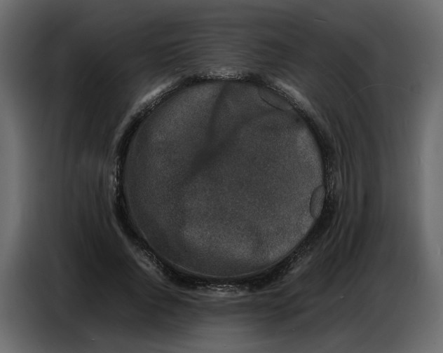 X0000086910736200705071303