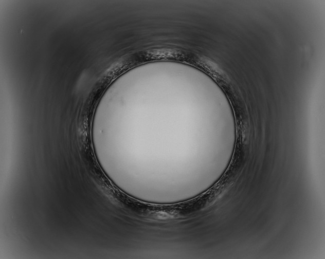 X0000086910737200705071303