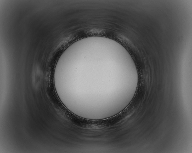 X0000086910739200705071303