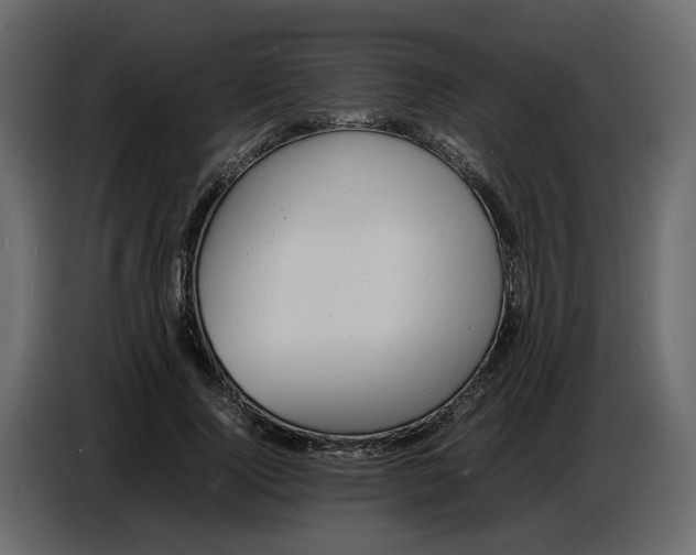 X0000086910740200705071303