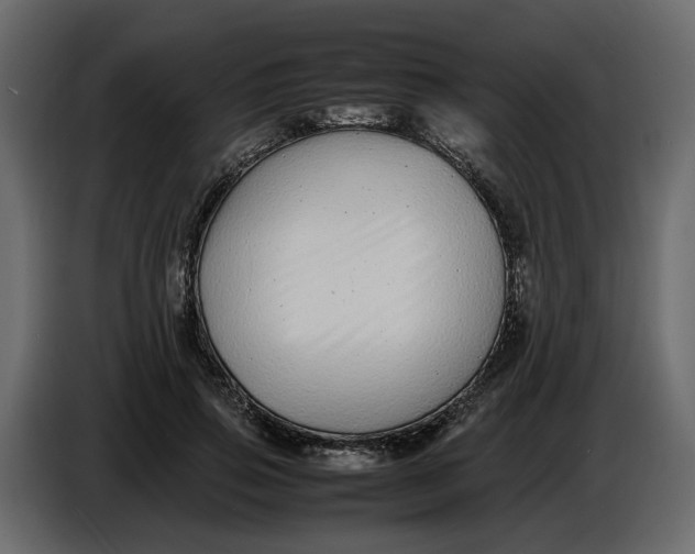 X0000086910741200705071303