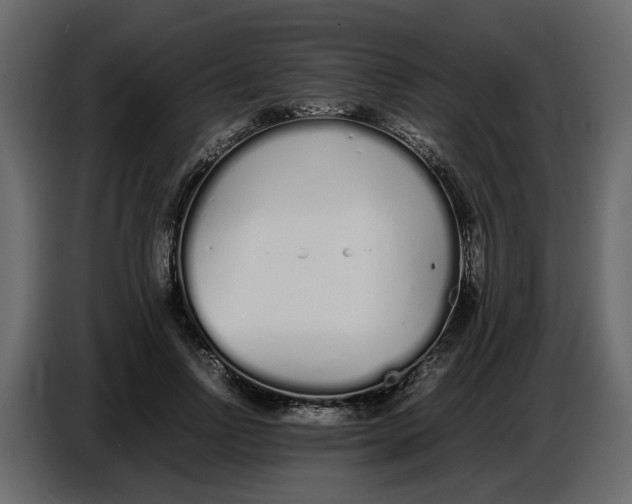 X0000086910742200705071303