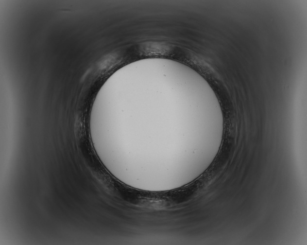 X0000086910743200705071303