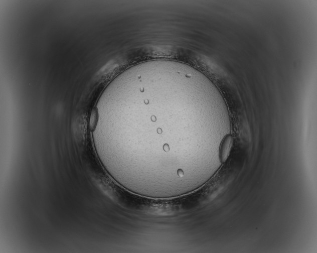 X0000086910744200705071303